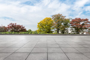 Long Island: Great Neck